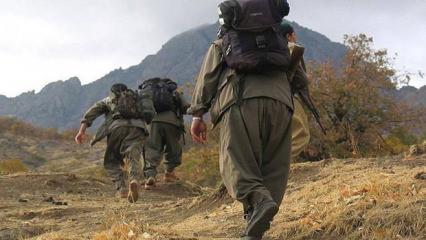 Türkiye düşmanları, PKK’nın Zap’tan çekilmesinden rahatsız: ‘Yeni bir utanç verici adım’