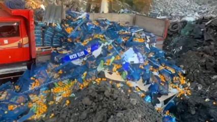 Zirai ilaç kalıntısı tespit edilen 6,1 ton mandalina imha edildi