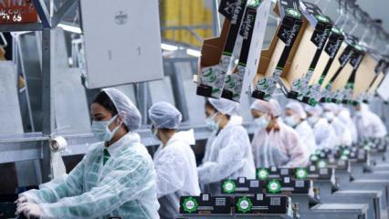 36 yıllık meyve-sebze devinden kötü haber! Konkordato ilan etti