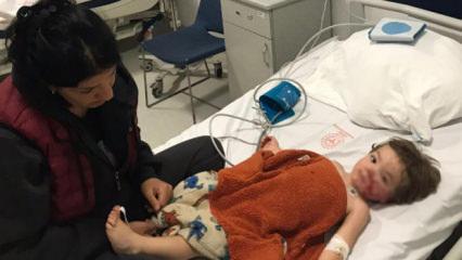 Ankara'da pitbull 2 çocuğa saldırdı