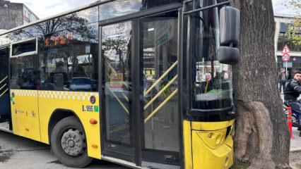 Bağcılar'da İETT otobüsü ağaca çarptı