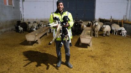 Bakanlık desteğiyle çiftlik kurdu! Değerine inanamayacaksınız