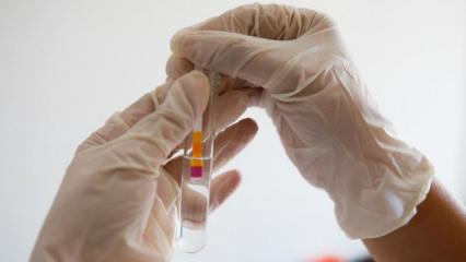 Beyin kanserine karşı geliştirilen yeni yöntem heyecan yarattı