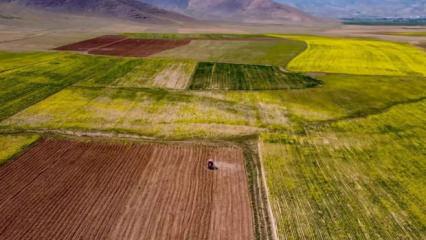 Ne İstanbul ne Ankara ne İzmir! İşte arsa değeri en çok artan 10 şehir!