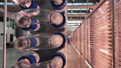 Boğazi&ccedil;i &Uuml;niversitesi mikroalg temelli biyopestisit geliştirecek