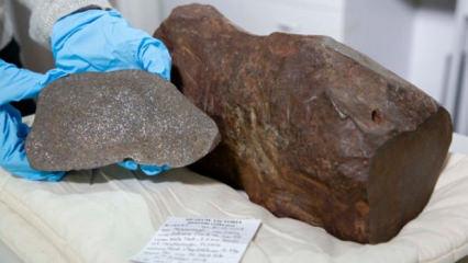 Bulduğu taşı altın sandı! Çok daha değerli çıktı