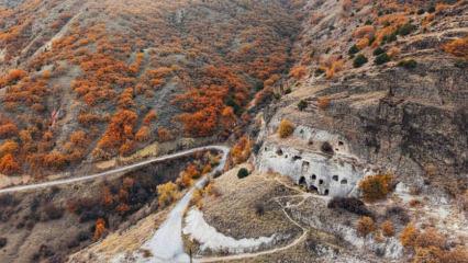 Doğa ayrı bir güzelliğe kavuştu: Ilgaz Dağları’nda sonbahar büyüsü