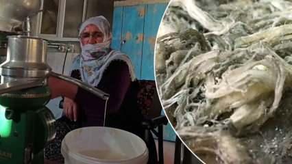 Erzurum'un doğal antibiyotiği: 4 ayda hazırlanıyor kilosu cep yakıyor!