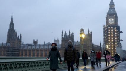 Gündelik hayatta fark edilmeyen gerçekler! Dünyada tavuk sayısı insan sayısından fazla...