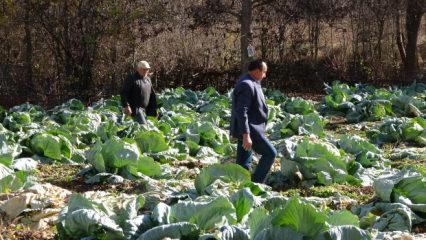 İki kardeş ayrılmadı! Eltiler zorunlu olarak anlaşmaya başladı