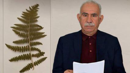 İmralı görüşmesinde merak edilen detay! Nasıl hitap edildi?