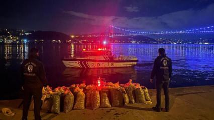 İstanbul Boğazı'nda kaçakçılara operasyon! 2.3 ton canlı midye denize geri bırakıldı