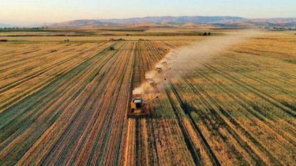 Organik Tarım Üretimi 22 Yılda 4,2 Kat Artış Gösterdi: Veriler Açıklandı