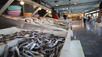 Resmi Gazete'de yayımlandı: 7 balık tescillendi!