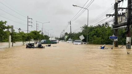 Sel sularının arasında yılan g&ouml;r&uuml;ld&uuml;!