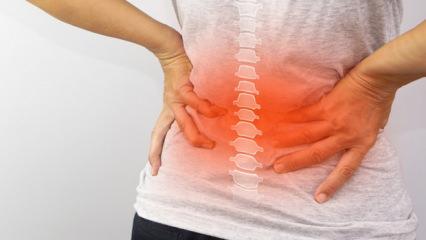 “Sessiz tehdit: Günlük alışkanlıklar bel sağlığını nasıl bozuyor”