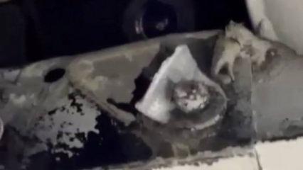 Sultangazi&lsquo;deki d&uuml;ğ&uuml;n salonunda gizli kamera skandalı: Sahibi g&ouml;zaltına alındı