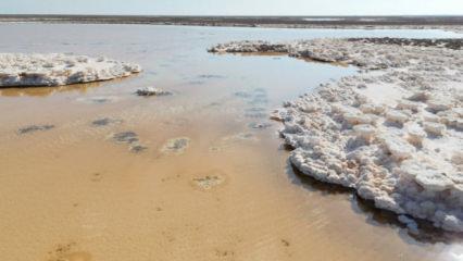 Türkiye'nin ikinci büyük gölünde büyük alarm: Sular çekilince ortaya çıktı!