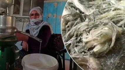 Erzurum'un doğal antibiyotiği