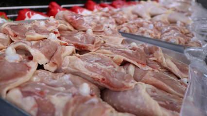 16 yıllık tavuk üreticisinden kötü haber! Konkordato ilan etti