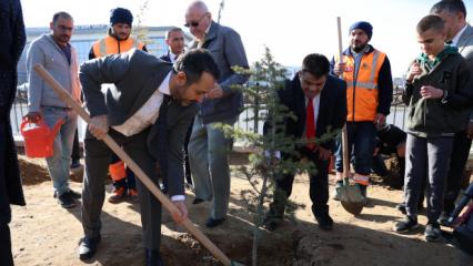 Konya'da anlamlı etkinlik: Özel öğrenciler fidan dikti