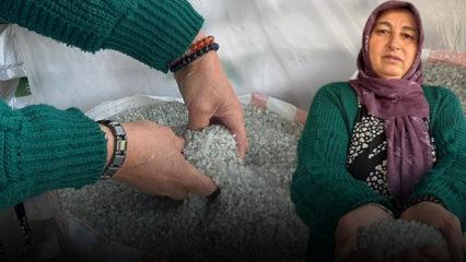 Çankırı'da 14 torun sahibi kadının lokma lokma helal kazanç hikâyesi