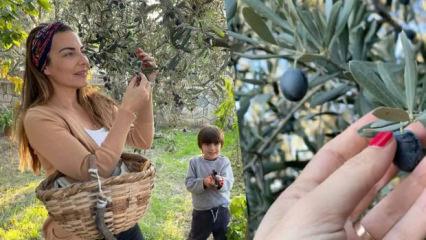 Burcu Kara şehirden ka&ccedil;tı: İznik&rsquo;te zeytinlik kurdu! Meğer o &ccedil;iftlik &uuml;nl&uuml; bir dizidenmiş