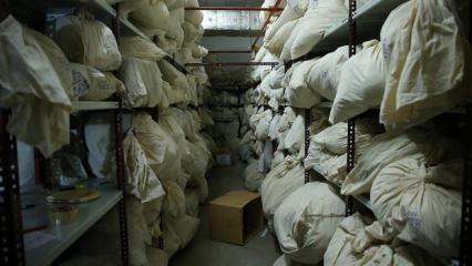 Büyükçekmece Adliyesi'nde dev vurgun! Başsavcılığın emanet kasası soyuldu