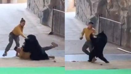 Çin'de korku dolu anlar: Kara ayı bakıcısına saldırdı