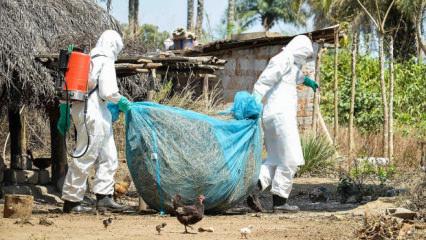 Kongo'da Ebola salgını sona erdi