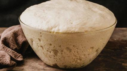 Ekmek Yapımının Kalbi: Ekşi Maya Starter Hazırlama