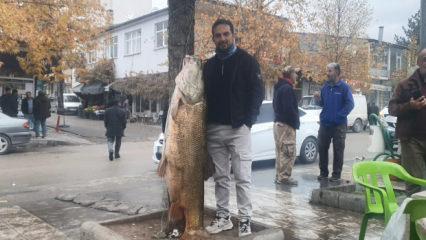 Elazığ'da 60 kiloluk turna balığı yakalandı