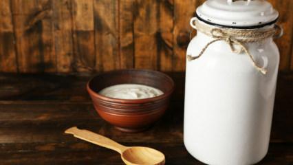 Evde Probiyotik Yoğurt Yapımı