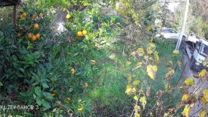 Geri viteste unuttu! Çekiciye yüklenen araç rampadan uçtu