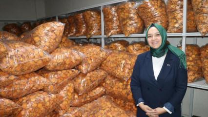 KOSGEB desteğiyle hayatı değişti! Kadın girişimci şimdi Kanada'ya ihracat yapıyor