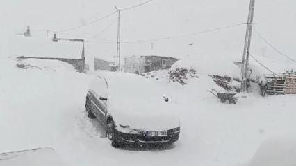 Lapa lapa yağdı! Erzurum, Ardahan, Kars ve Ağrı beyaza büründü