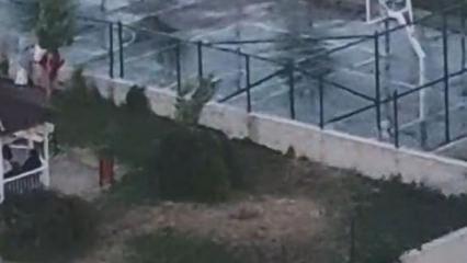 Pitbull 2 çocuğa saldırmıştı! Köpeğin tasmasız ve ağızlıksız gezdirildiği ortaya çıktı