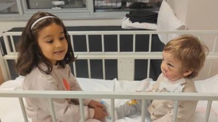 Pitbull dehşetinde akılalmaz savunma: Koruma içgüdüsüyle saldırdı!