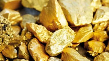 Altın üretimi 60 bin tona çıkabilir! 2026 Türkiye'nin yılı olacak