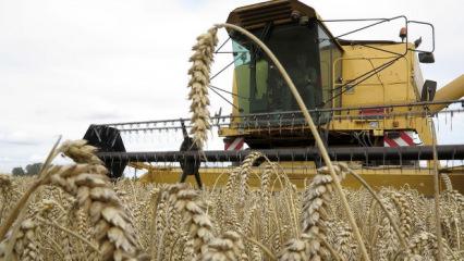 Üreticilere kasımda 376,8 milyon lira destekleme ödemesi yapıldı