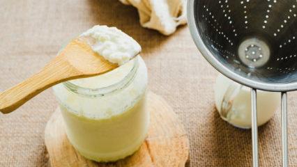 Yoğurdunuz tutmuyorsa nedeni bu olabilir! İşte yapılan yaygın hatalar