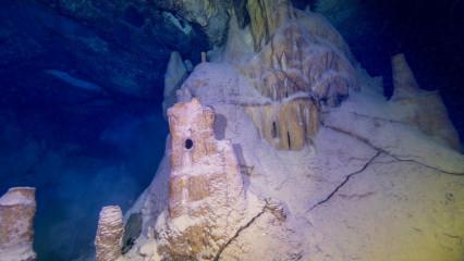 Doğu Akdeniz’in derinliklerindeki renkli dünya: İşte böyle görüntülendi!
