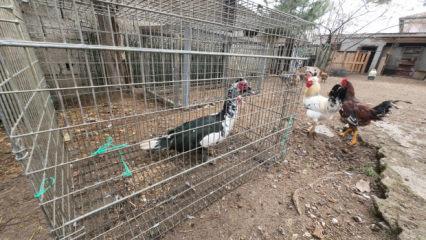 İstanbul'u bıraktı! Memleketinde paraya para demiyor