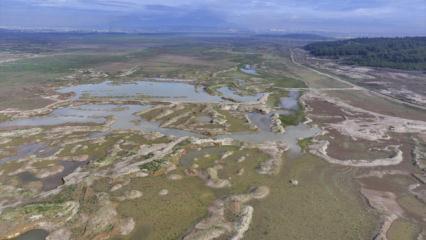 İzmir'de barajlar kuruyor, kritik eşik aşıldı: &Ouml;n&uuml;m&uuml;zdeki yaz daha tehlikeli olacak!