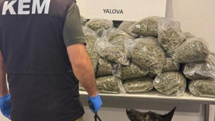 Limandaki TIR'da 23 milyon lira değerinde 37,7 kilo uyuşturucu ele ge&ccedil;irildi; 5 g&ouml;zaltı