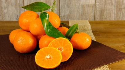 Mandalina kaç kalori? Mandalina yemek kilo aldırır mı