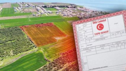 Ne İstanbul ne Ankara: Anadolu'nun 15 altın şehri! Tapusu olan k&ouml;şeyi d&ouml;nd&uuml;!