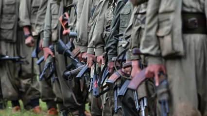 PKK sonrası i&ccedil;in '&ccedil;ete' senaryosu: &Ccedil;ekilirse milyar dolarlık kirli işler ne olacak? 