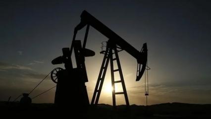 TPAO'nun4 petrol arama ruhsatına süre uzatımı