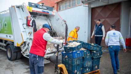 Tüm mahalleyi kötü koku sarmıştı: Nedeni 25 kasa tavuk çıktı!
